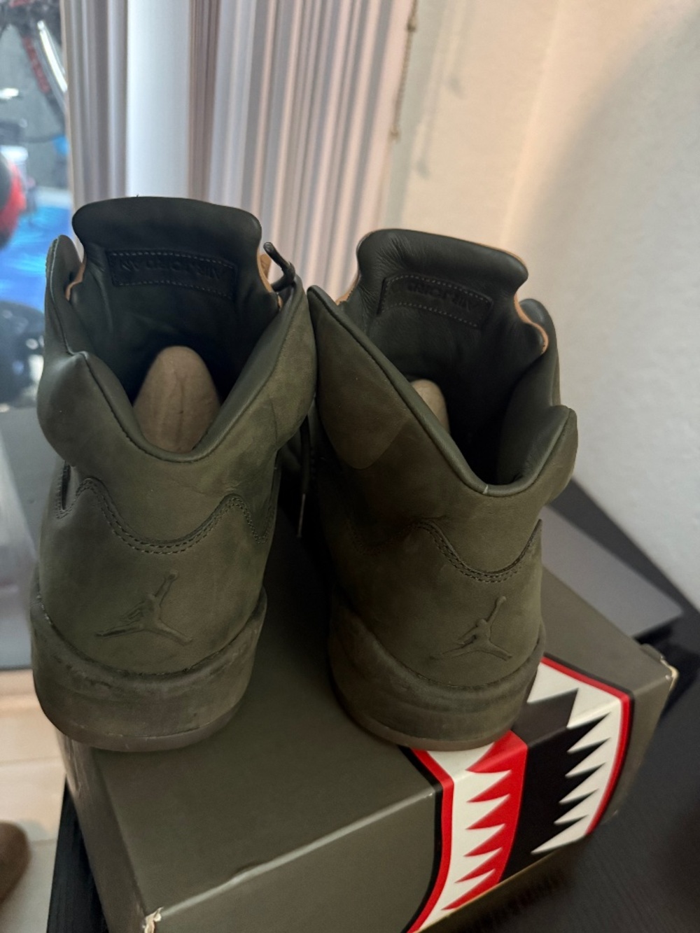 Take flight Jordan 5